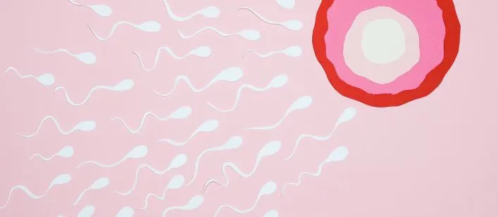 social egg freezing