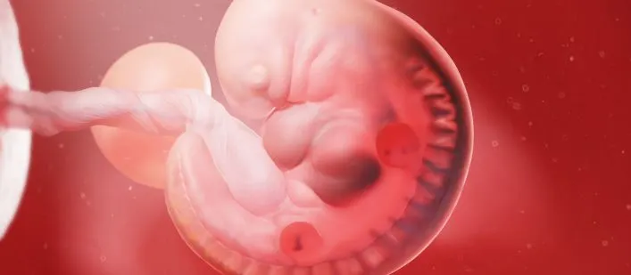 ivf with ai