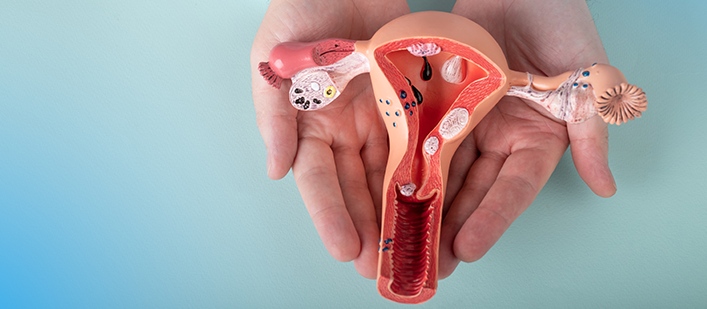 fertility doctor in noida