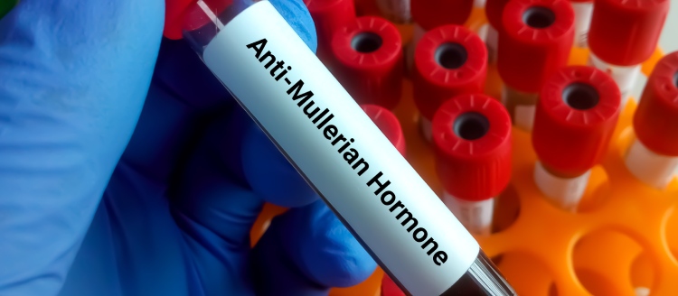 best fertility clinic in Noida