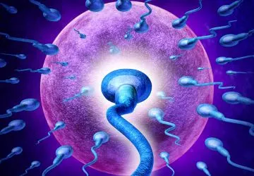 treatment for fertility