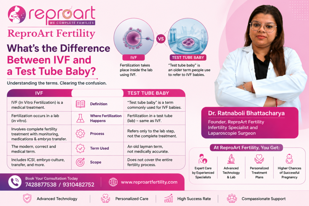 What's the Difference Between IVF and a Test Tube Baby